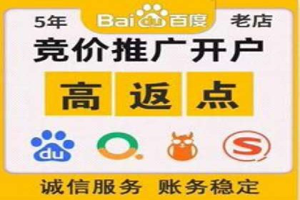 企业SEM服务实战案例解析
